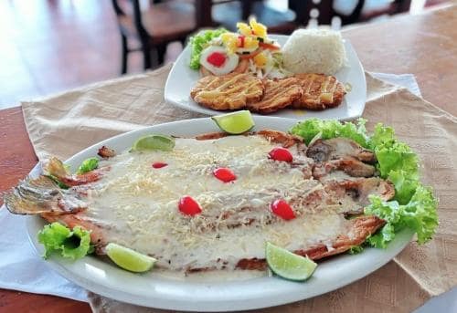 WhatsApp-Image-2021-07-18-at-12.17.25-1